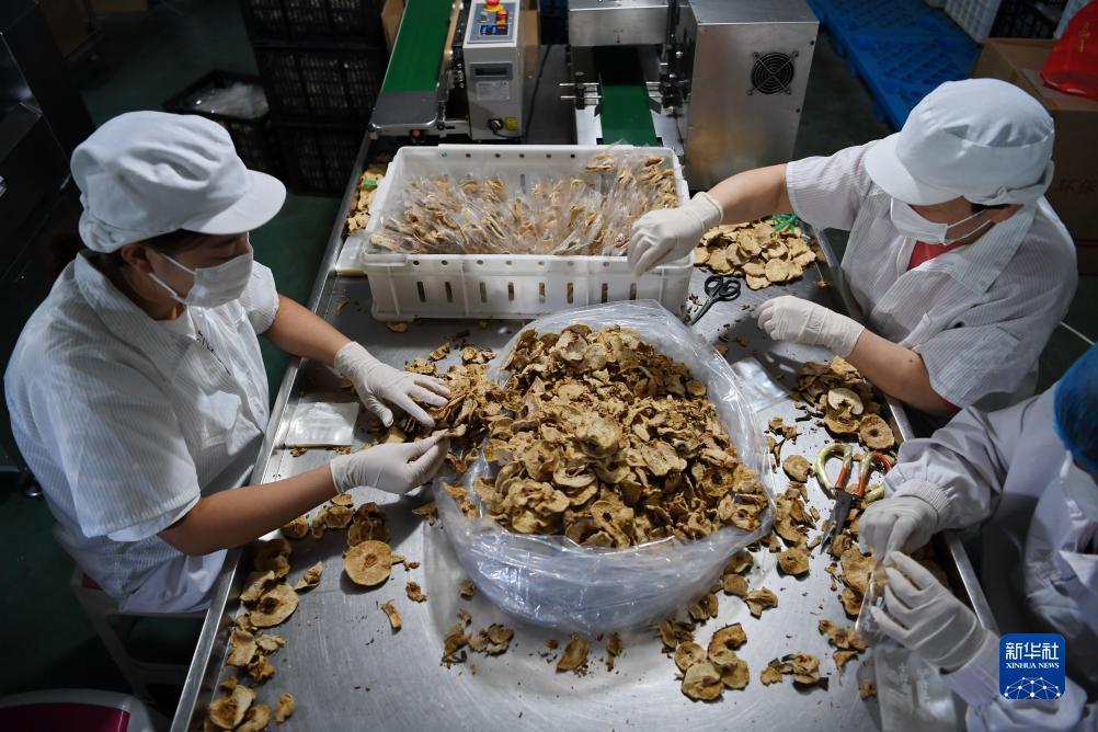 摇钱树app下载